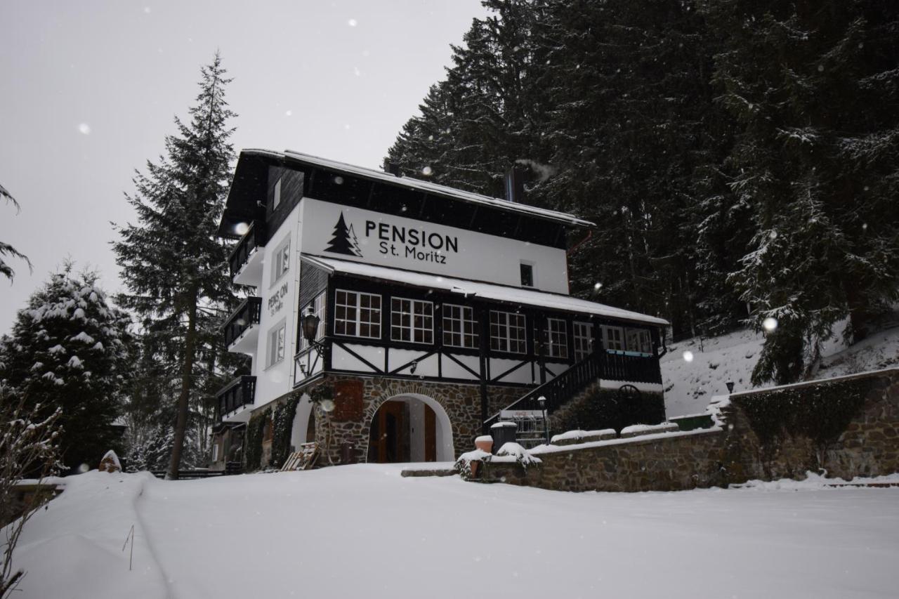 Pension St. Moritz Železná Ruda エクステリア 写真